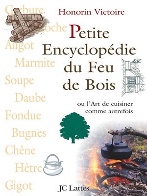 cover image of Petite encyclopédie du feu de bois